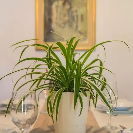 Apartment Terra Magica Deluxe Or With Private Parking, Terrace And Sea View