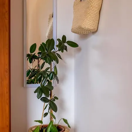 Terra Magica Deluxe Or With Heating, Free Parking, Terrace And Sea View * Rijeka